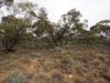 Lots 1-6 Towns Street, Chillingollah VIC 3585-Image