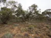 Lots 1-6 Towns Street, Chillingollah VIC 3585-Image