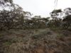 Lots 1-6 Towns Street, Chillingollah VIC 3585-Image