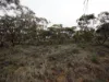 Lots 1-6 Towns Street, Chillingollah VIC 3585-Image