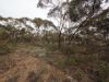 Lots 1-6 Towns Street, Chillingollah VIC 3585-Image