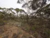Lots 1-6 Towns Street, Chillingollah VIC 3585-Image