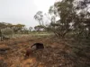 Lots 1-6 Towns Street, Chillingollah VIC 3585-Image
