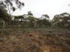 Lots 1-6 Towns Street, Chillingollah VIC 3585-Image