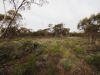 Lots 1-6 Towns Street, Chillingollah VIC 3585-Image