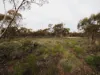 Lots 1-6 Towns Street, Chillingollah VIC 3585-Image