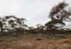 Lots 1-6 Towns Street, Chillingollah VIC 3585-Image