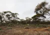 Lots 1-6 Towns Street, Chillingollah VIC 3585-Image