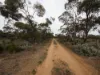 Lots 1-6 Towns Street, Chillingollah VIC 3585-Image