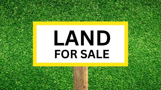 Lots 44 & 45 Herbert Street, ANGUS NSW 2765-Image