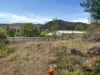 Part 34 Cromwell Street, Adelong NSW 2729-Image