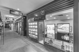 Property Management Team - Real Estate Agent