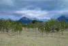 0 Cunningham Highway, Clumber QLD 4309-Image