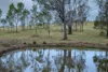 0 Cunningham Highway, Clumber QLD 4309-Image