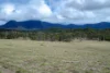 0 Cunningham Highway, Clumber QLD 4309-Image