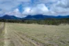 0 Cunningham Highway, Clumber QLD 4309-Image