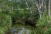 0 Cunningham Highway, Clumber QLD 4309-Image