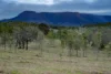 0 Cunningham Highway, Clumber QLD 4309-Image