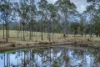 0 Cunningham Highway, Clumber QLD 4309-Image