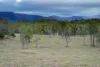 0 Cunningham Highway, Clumber QLD 4309-Image