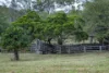0 Cunningham Highway, Clumber QLD 4309-Image