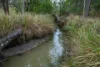 0 Cunningham Highway, Clumber QLD 4309-Image
