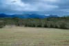 0 Cunningham Highway, Clumber QLD 4309-Image