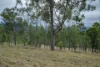 0 Cunningham Highway, Clumber QLD 4309-Image