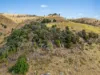 0, Lefthand Branch QLD 4343-Image