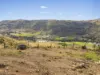 0 Lefthand Branch Road, Lefthand Branch, Qld 4343-Image