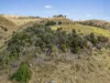 0 Lefthand Branch Road, Lefthand Branch, Qld 4343-Image