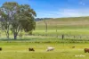0 Serpentine Road, Barmoya QLD 4703-Image