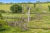 0 Serpentine Road, Barmoya QLD 4703-Image