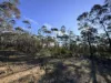 0 Sunraysia Highway, St Arnaud, Vic 3478-Image