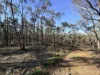 0 Sunraysia Highway, St Arnaud, Vic 3478-Image