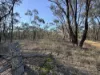 0 Sunraysia Highway, St Arnaud, Vic 3478-Image