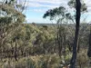 0 Sunraysia Highway, St Arnaud, Vic 3478-Image