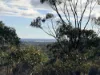 0 Sunraysia Highway, St Arnaud, Vic 3478-Image