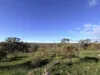0 Sunraysia Highway, St Arnaud, Vic 3478-Image