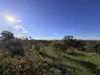 0 Sunraysia Highway, St Arnaud, Vic 3478-Image
