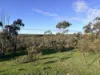 0 Sunraysia Highway, St Arnaud, Vic 3478-Image