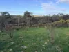 0 Sunraysia Highway, St Arnaud, Vic 3478-Image