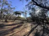 0 Sunraysia Highway, St Arnaud, Vic 3478-Image