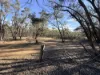0 Sunraysia Highway, St Arnaud, Vic 3478-Image
