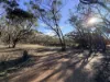 0 Sunraysia Highway, St Arnaud, Vic 3478-Image
