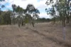 0 Washpool Road, Leslie Dam QLD 4370-Image