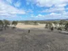 0 Washpool Road, Leslie Dam QLD 4370-Image