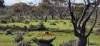 1 and 2, Twill Road, Mount Mary, SA 5374-Image