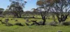 1 and 2, Twill Road, Mount Mary, SA 5374-Image