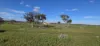1 and 2, Twill Road, Mount Mary, SA 5374-Image